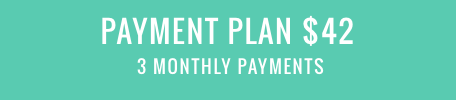 payment plan $42